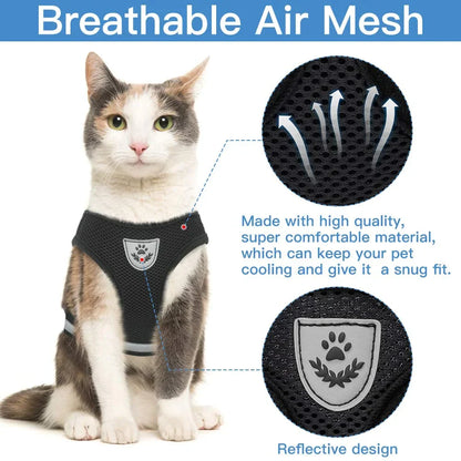 Chest collar for Cat